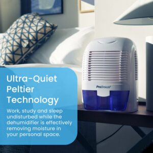 Read more about the article Pro Breeze PB-02-US Electric Mini Dehumidifier – Reviews and Prices